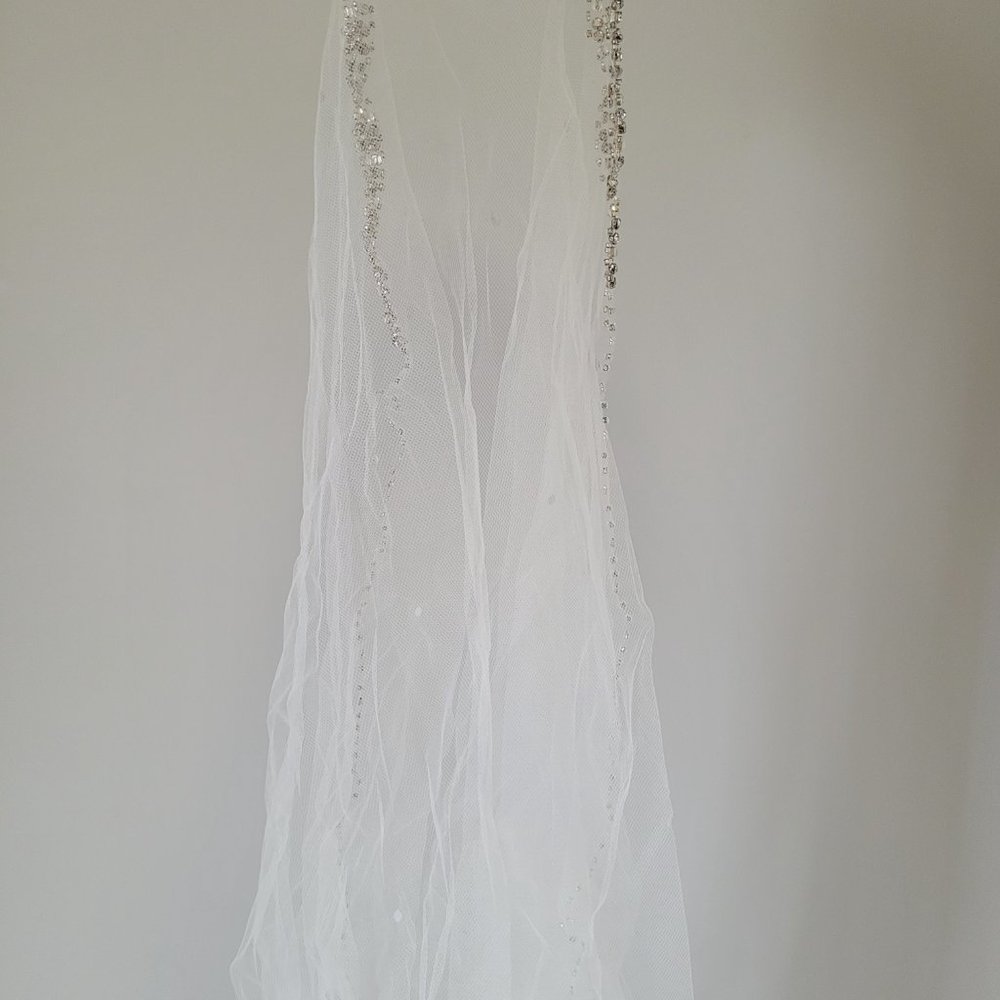 Wedding Dress and Veil - Picture 4 of 4